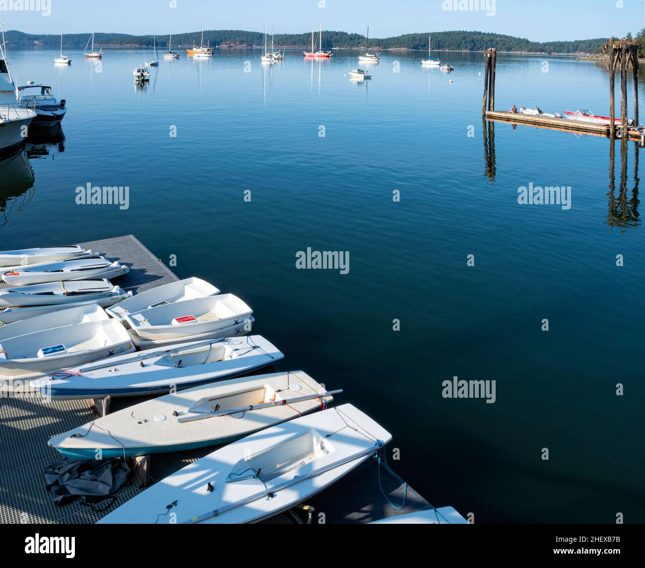 WA21080-00...WASHINGTON - Quiet morning at West Sound on Orcas Island; one of the San Juan Islands group. Stock Photo