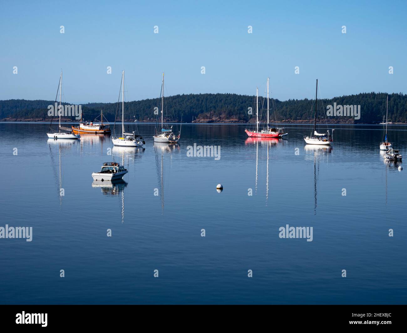 WA21087-00...WASHINGTON -Boats moored in the calm waters of West Sound at Orcas Island. Stock Photo