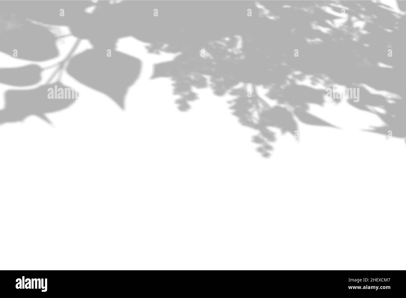 Tree shade shadow pattern Stock Vector Images - Alamy