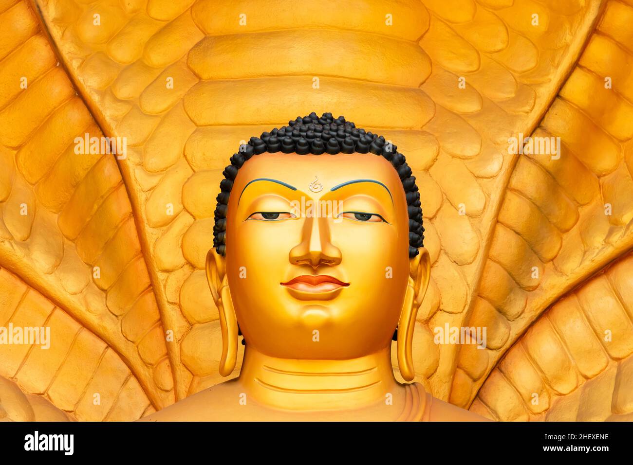 Close up face portrait of golden Buddha statue at Mahamevnawa Amawatura