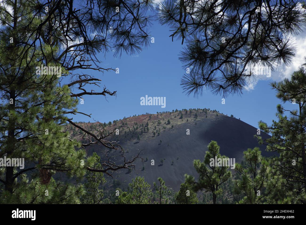 View of the top of Sunset Crater, a volcano cinder cone in the San Francisco Volcanic Field north of Flagstaff, AZ, framed by pine trees Stock Photo