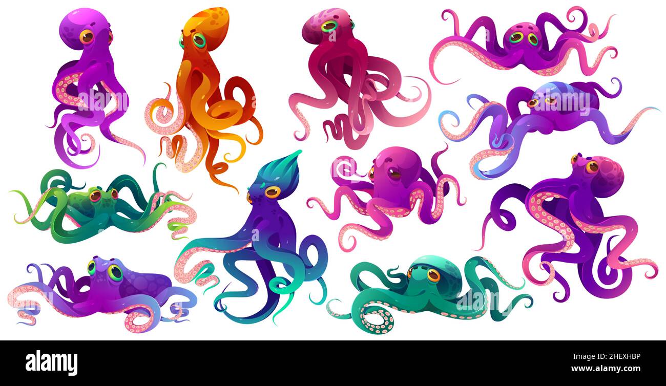 Cute color octopuses, sea animals with tentacles. Vector cartoon set of ocean invertebrates, marine animals, squid or kraken with suckers on hands. Funny octopuses isolated on white background Stock Vector