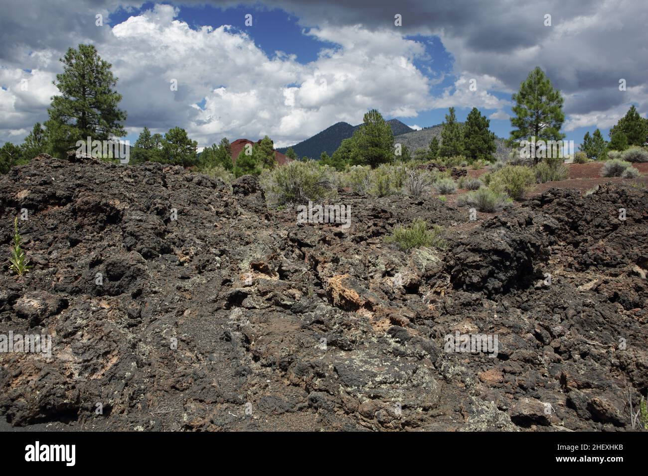 View of basalt lava which poured out of fissures around the base of Sunset Crater volcano from the Lava Flow Trail Stock Photo