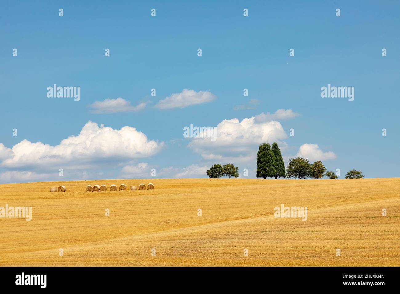 rural landscape with field after harvest and bale of straw under blue ...