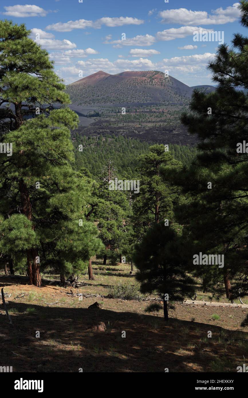View of the Sunset Crater cinder cone volcano and Bonito Lava Flow from