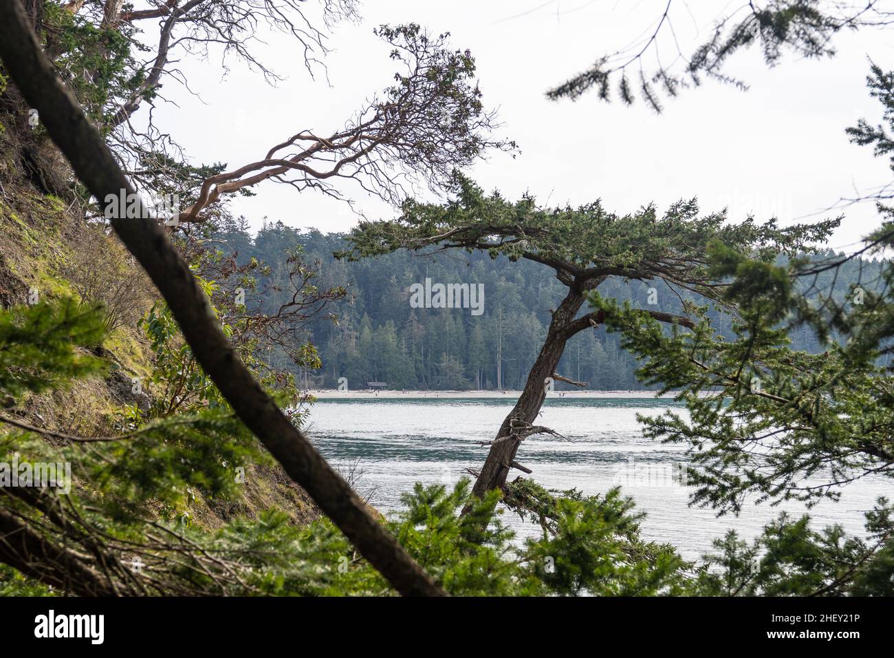 Bowman Bay is one of the more popular areas of Deception Pass State