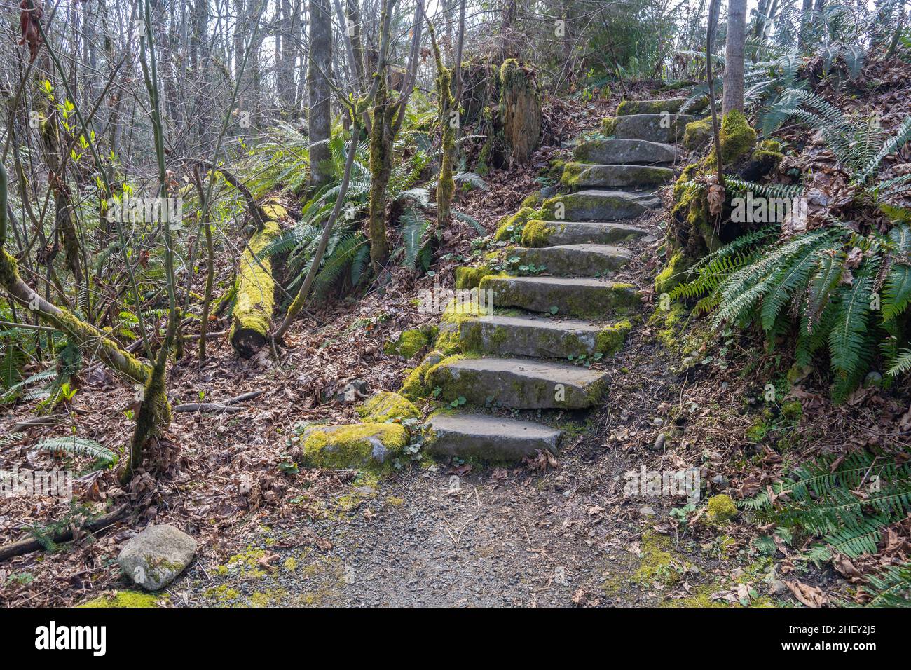 Lake Boren Park is a popular community park that is situated near the