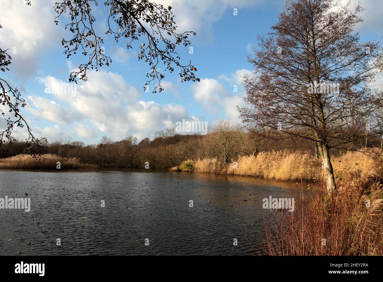 View on a  beautiful lake in denmark scandinavia north of copenhagen Stock Photo