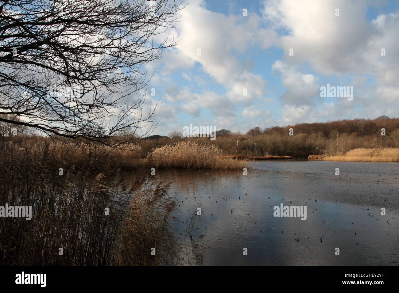 View on a  beautiful lake in denmark scandinavia north of copenhagen Stock Photo