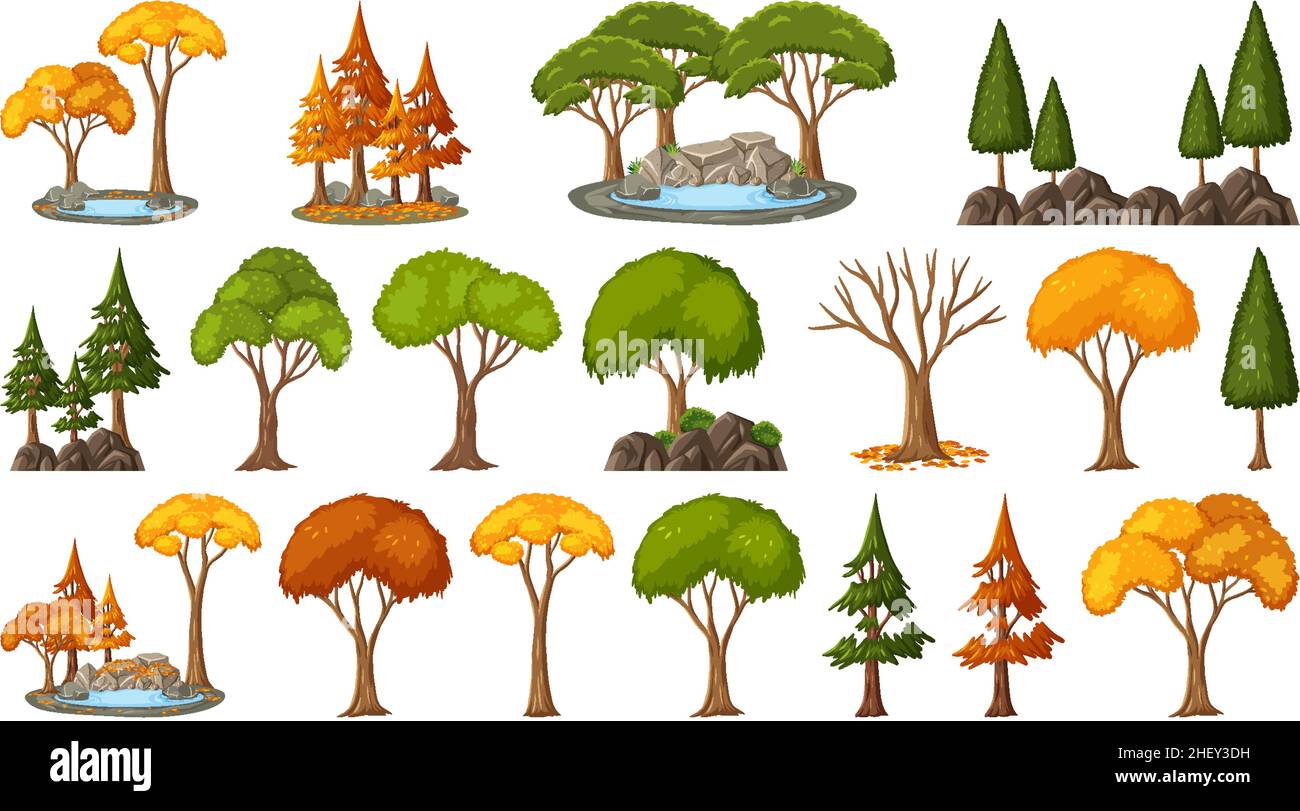 Set of four seasons trees on white background illustration Stock Vector ...