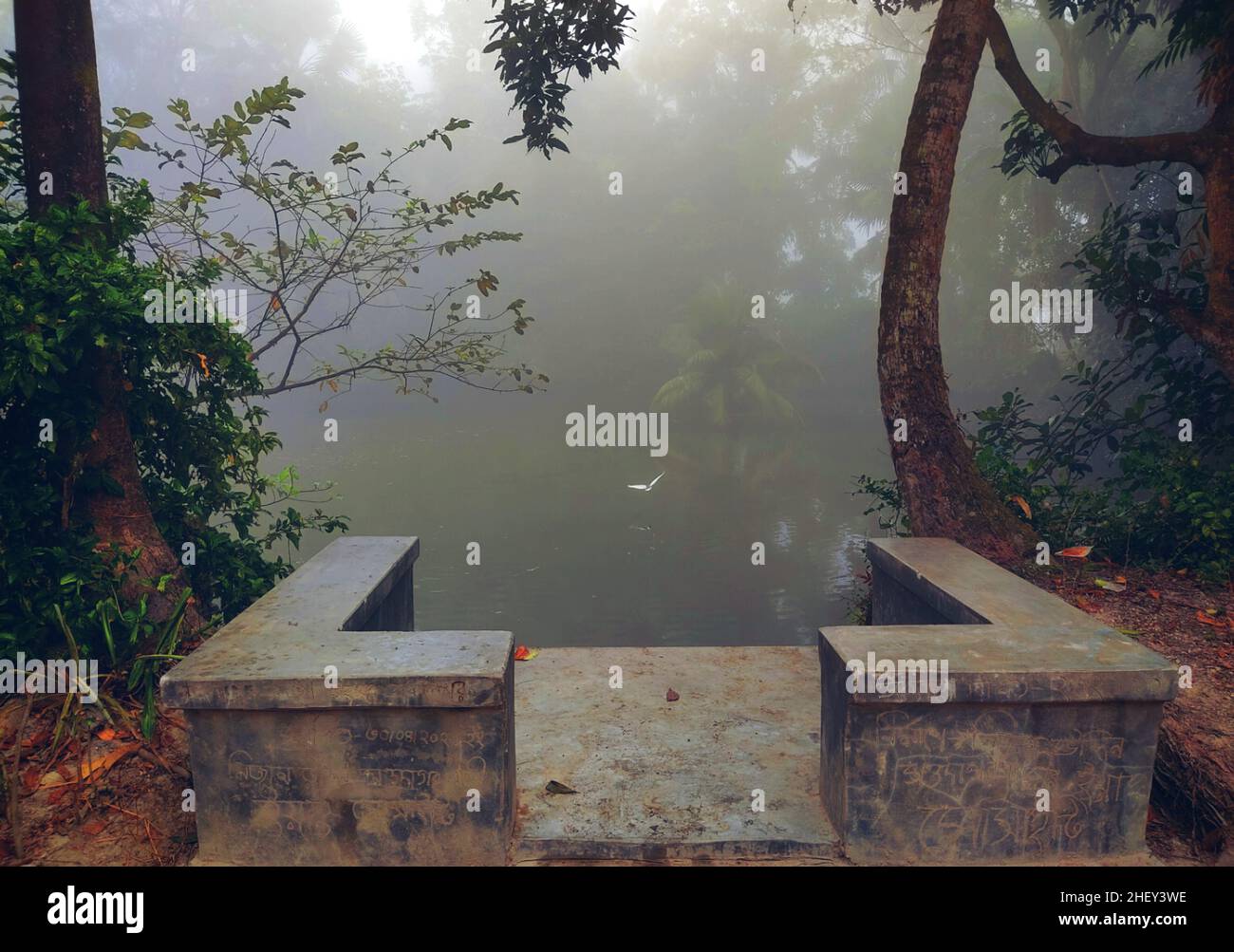 A pond in rural villages in a winter afternoon in Bangladesh Stock Photo