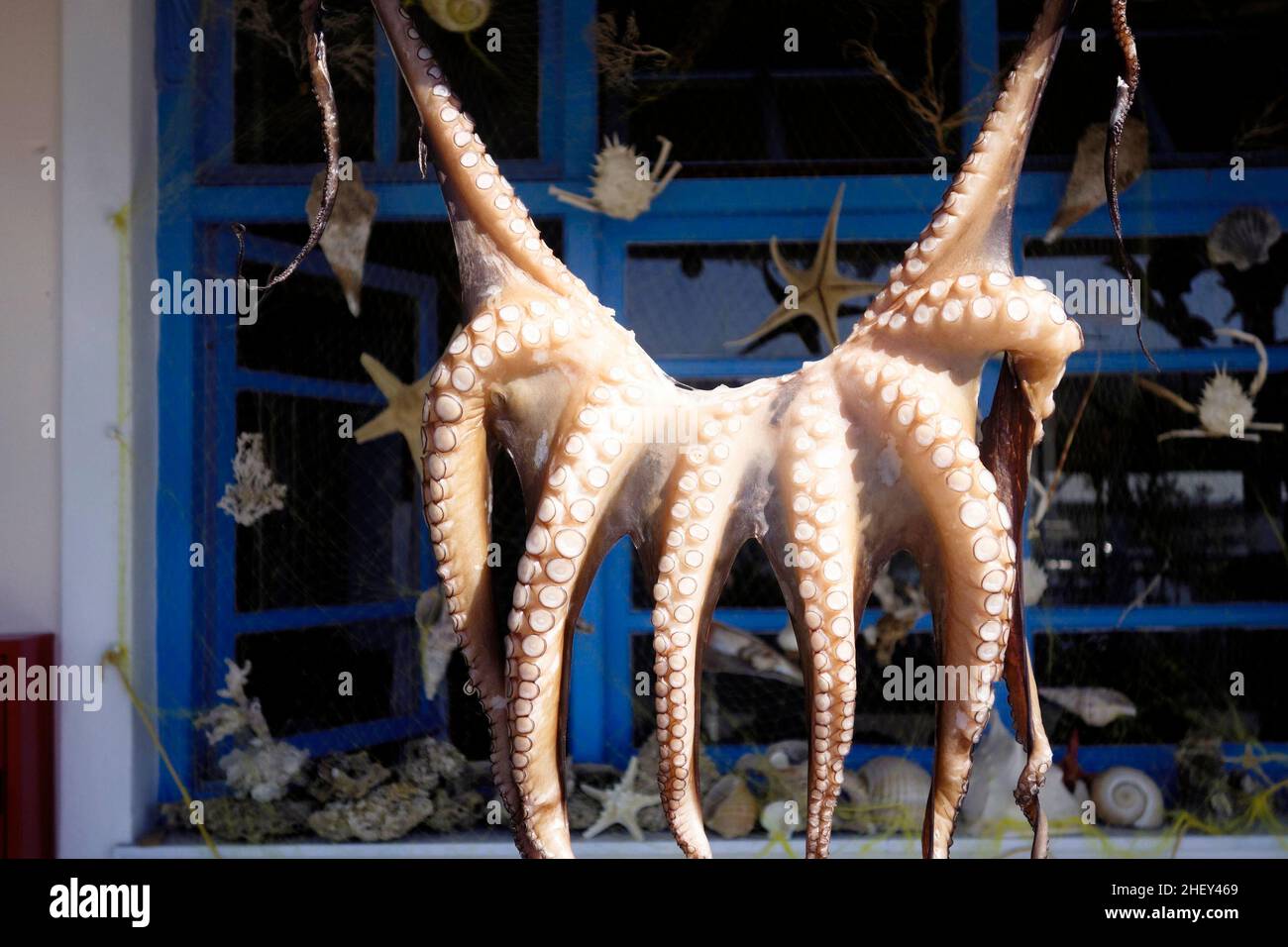 Octopus at a fish taverna, Plomari, Mytilini, Greece Stock Photo