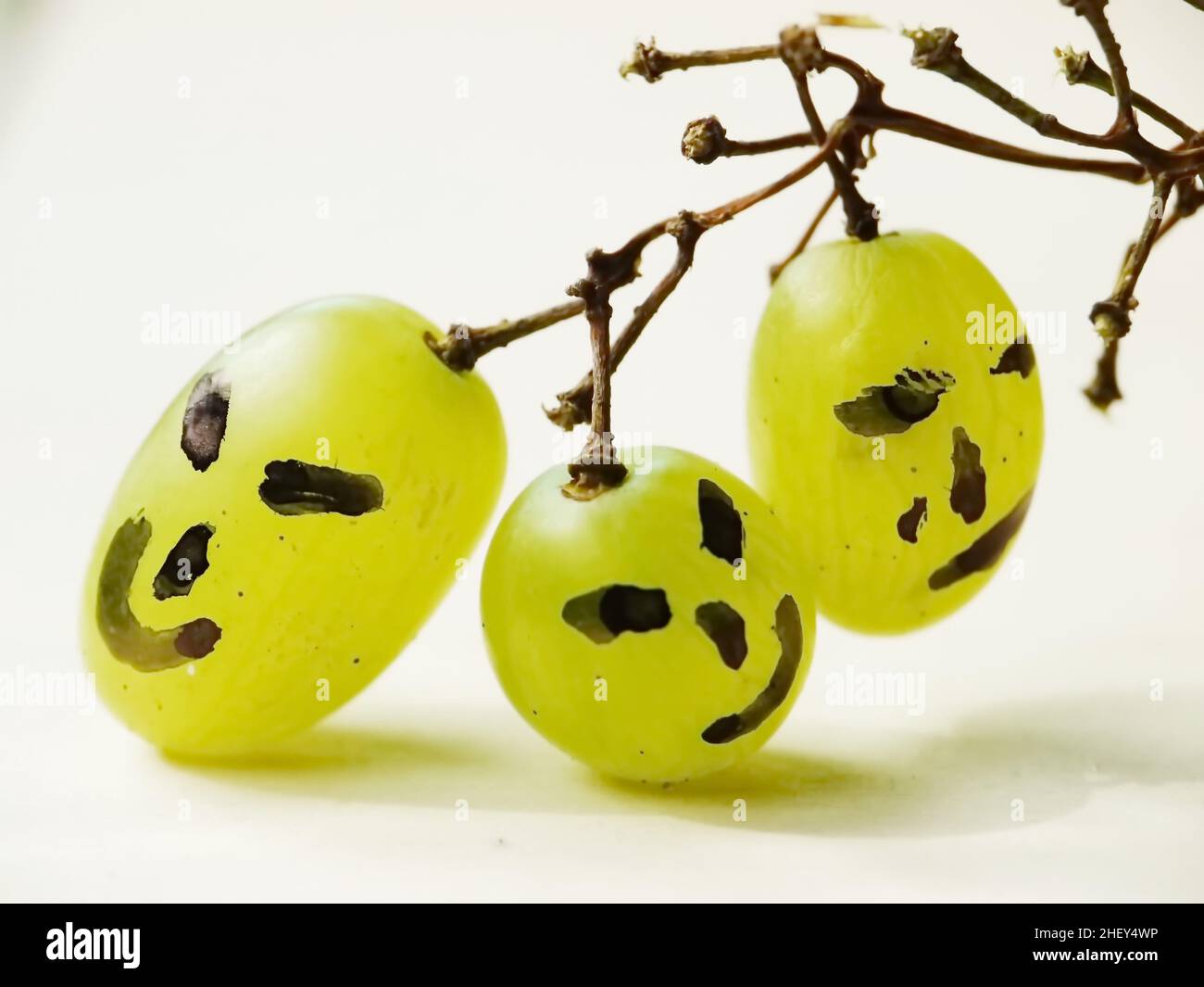 funny faces on grapes Stock Photo - Alamy