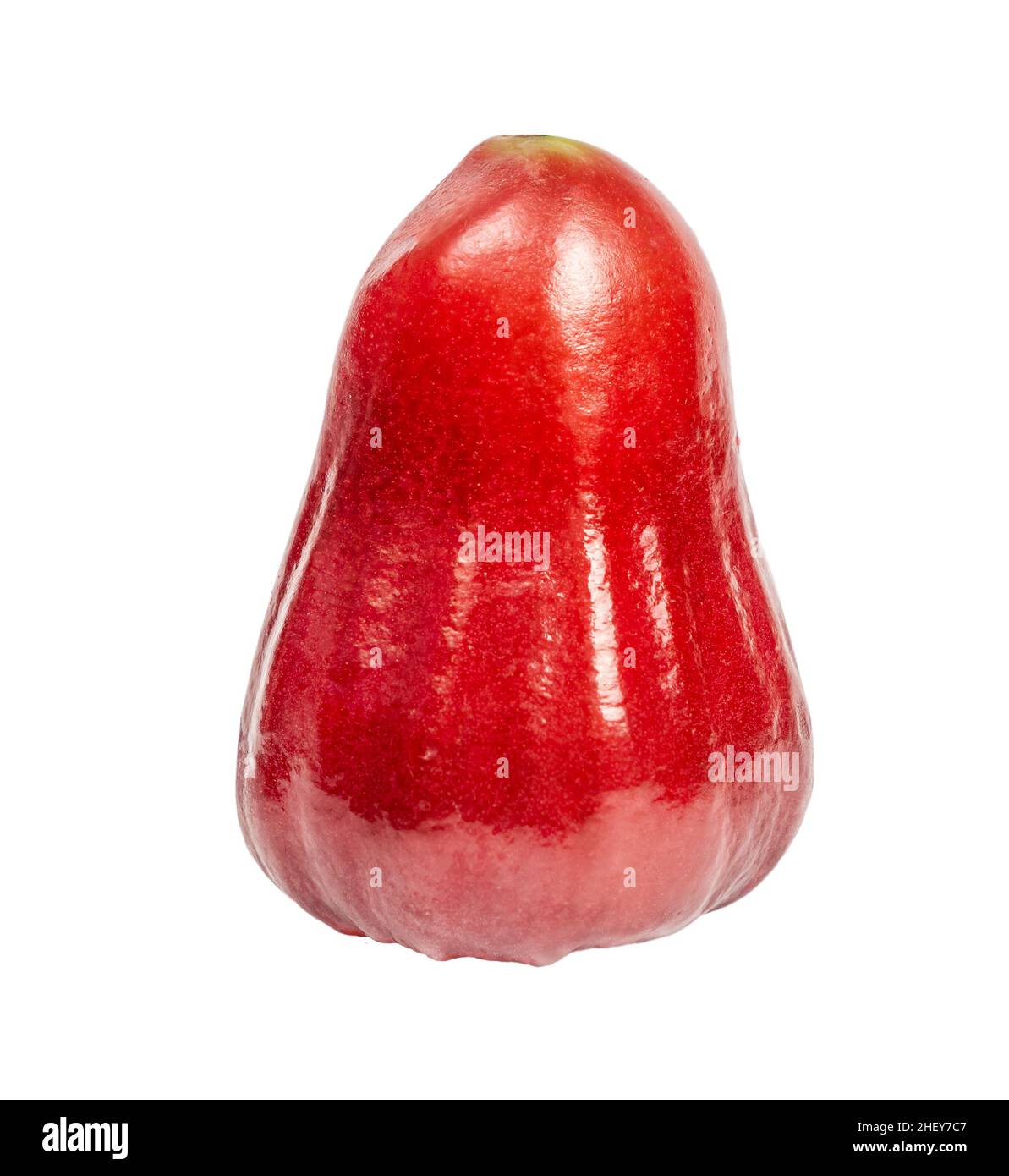 Rose water apple isolated on white background Stock Photo Alamy