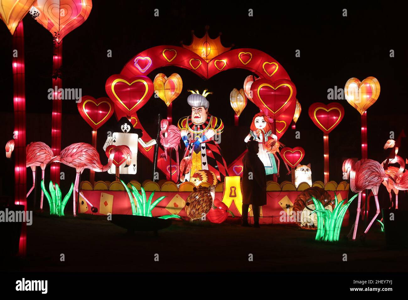 Antwerp, Belgium. 12th Jan, 2022. People view light installations during  the sixth edition of China light festival themed "Alice in Wonderland" at  the Antwerp Zoo in Antwerp, Belgium, Jan. 12, 2022. Credit: