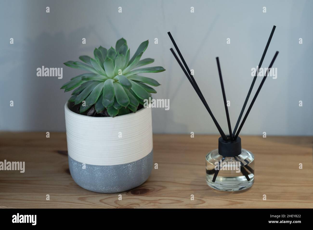 Aroma reed diffuser and succulent in ceramic pot on wooden table. Home perfume in glass bottle with black wood sticks. Hygge and cosiness concept Stock Photo