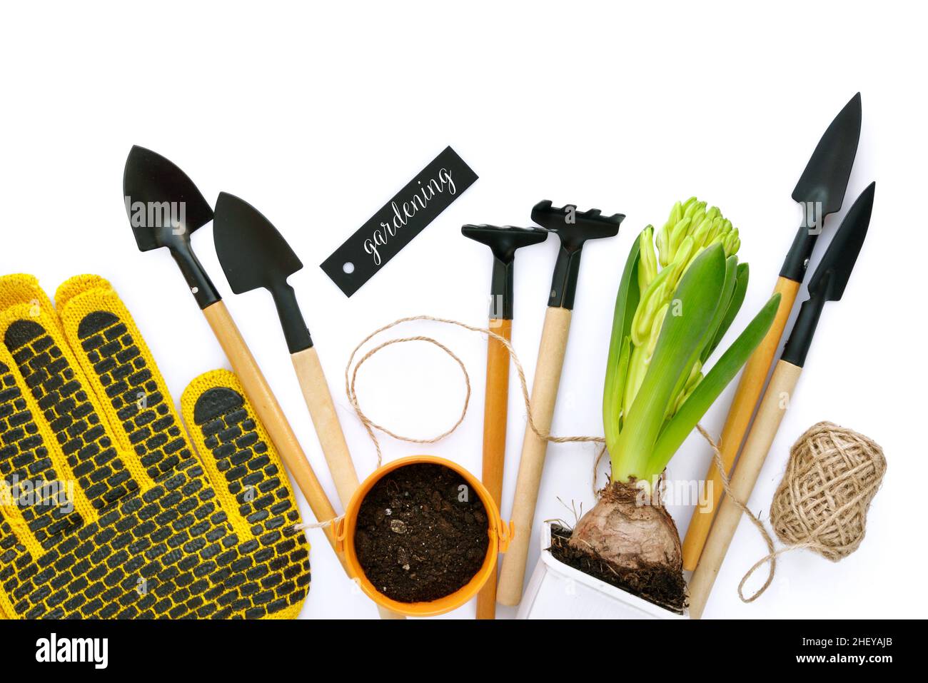 Garden tools and spring hyacinth flower on white background. Gardening concept. Top view Stock Photo