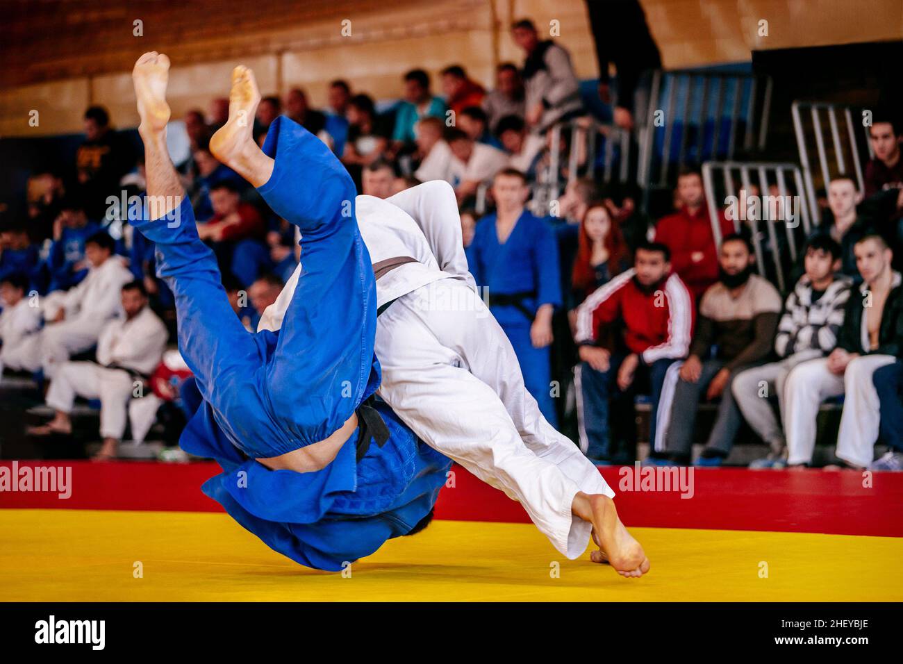 judo fighter is thrown for an ippon in judo competition Stock Photo