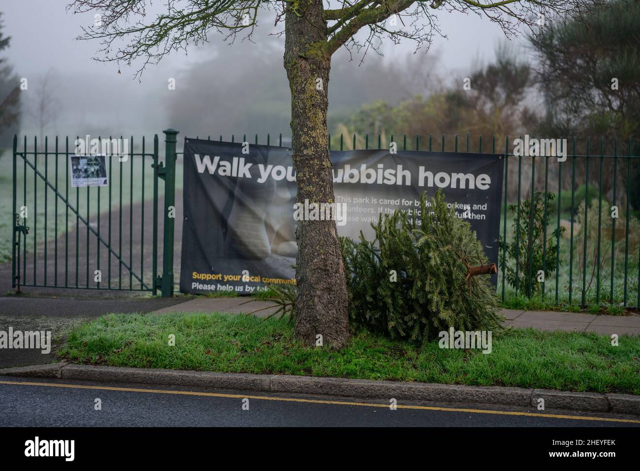Merton, London, UK. 13 January 2022. Discarded Christmas Tree alongside