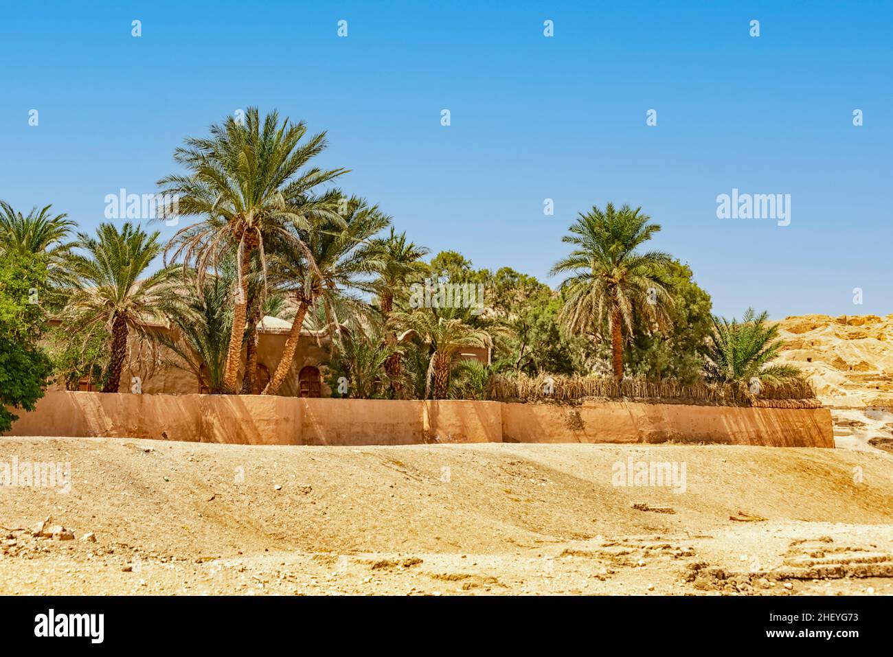 Oasis in the Egyptian desert Stock Photo