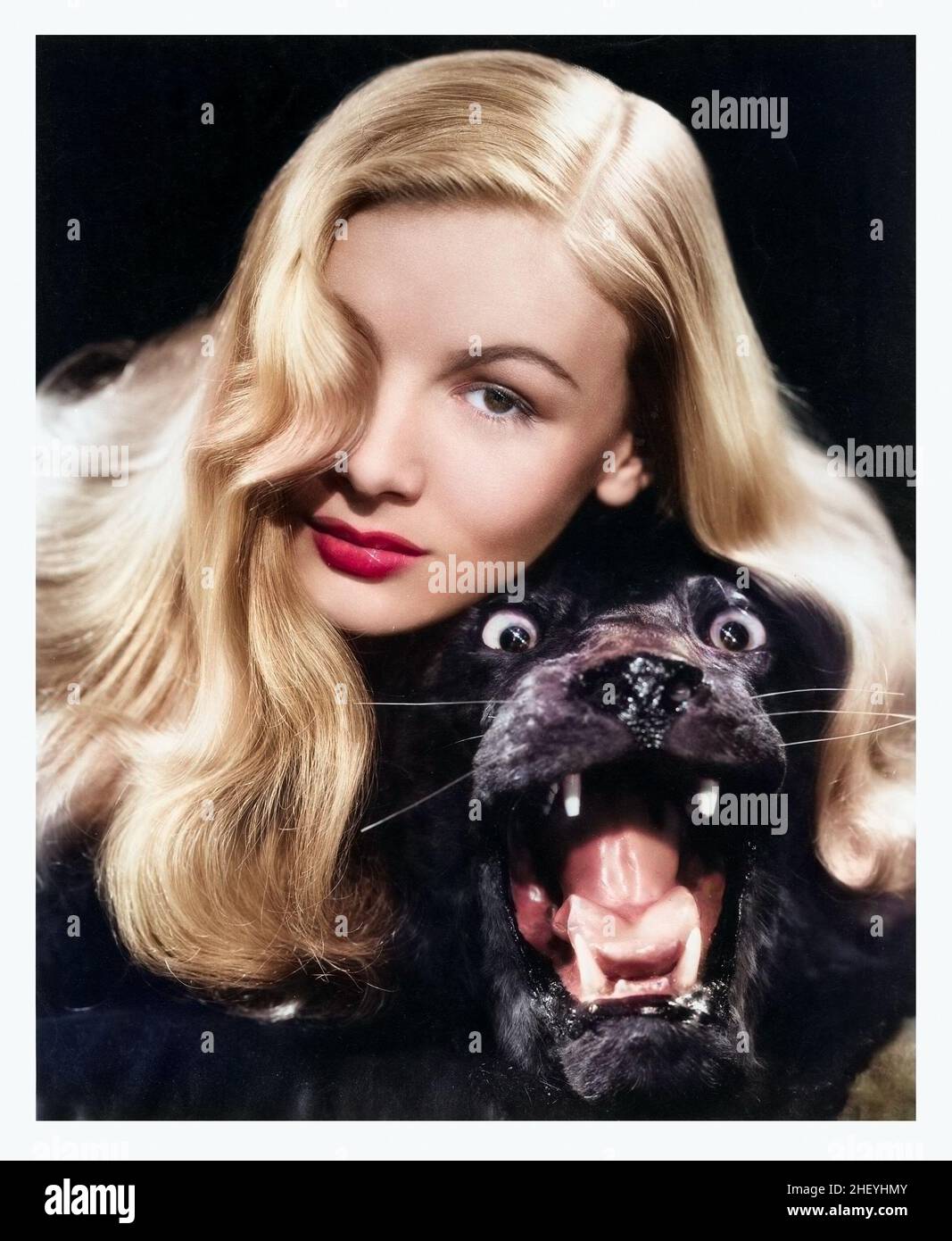 Veronica Lake by A.L. 'Whitey' Schafer (Paramount, 1943). Still, feat. a black panther. Colorized. Publicity photo. Stock Photo