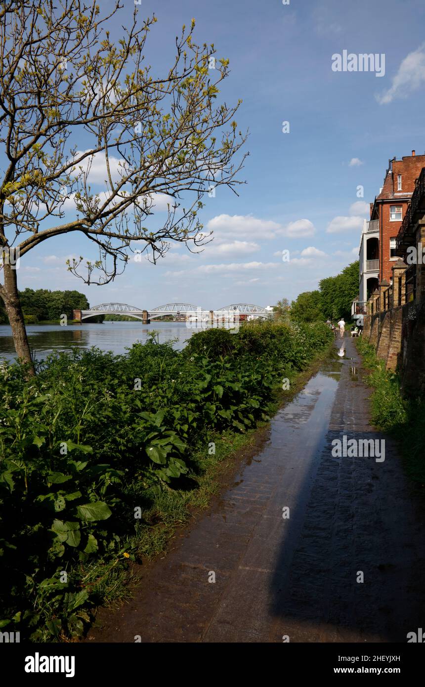 Thames Path of the River Thames near White Hart pub and Barnes Bridge, Barnes, London, UK Stock Photo
