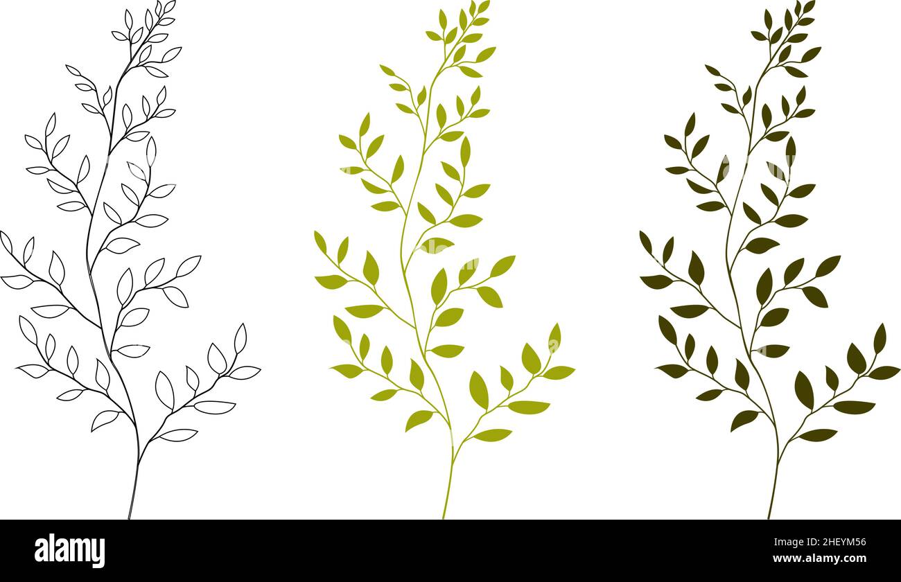 Collection of greenery. Leaves of herbaceous plants. Stock Vector