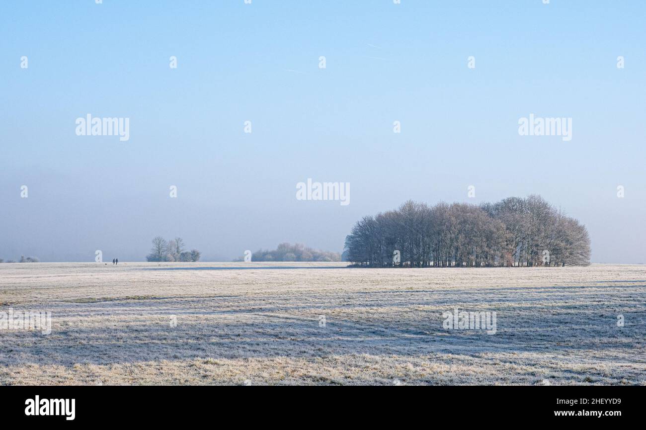 Frosty morning with distant dog walkers and weak winter sunshine at Ashton Court park near Bristol UK Stock Photo