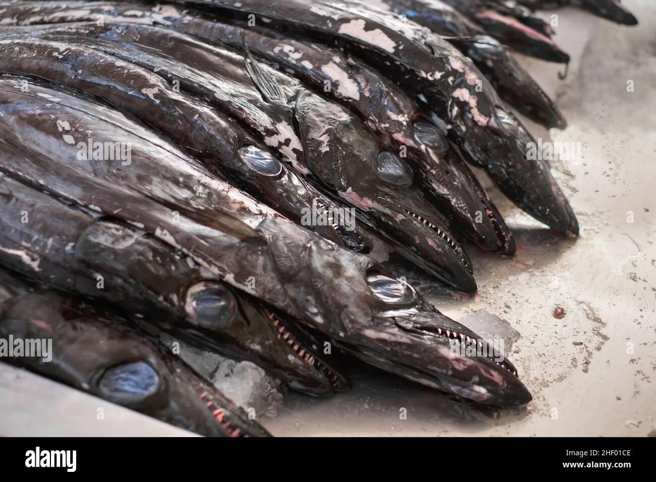 Espada preta, Black Scabbard fish  Madeira Stock Photo