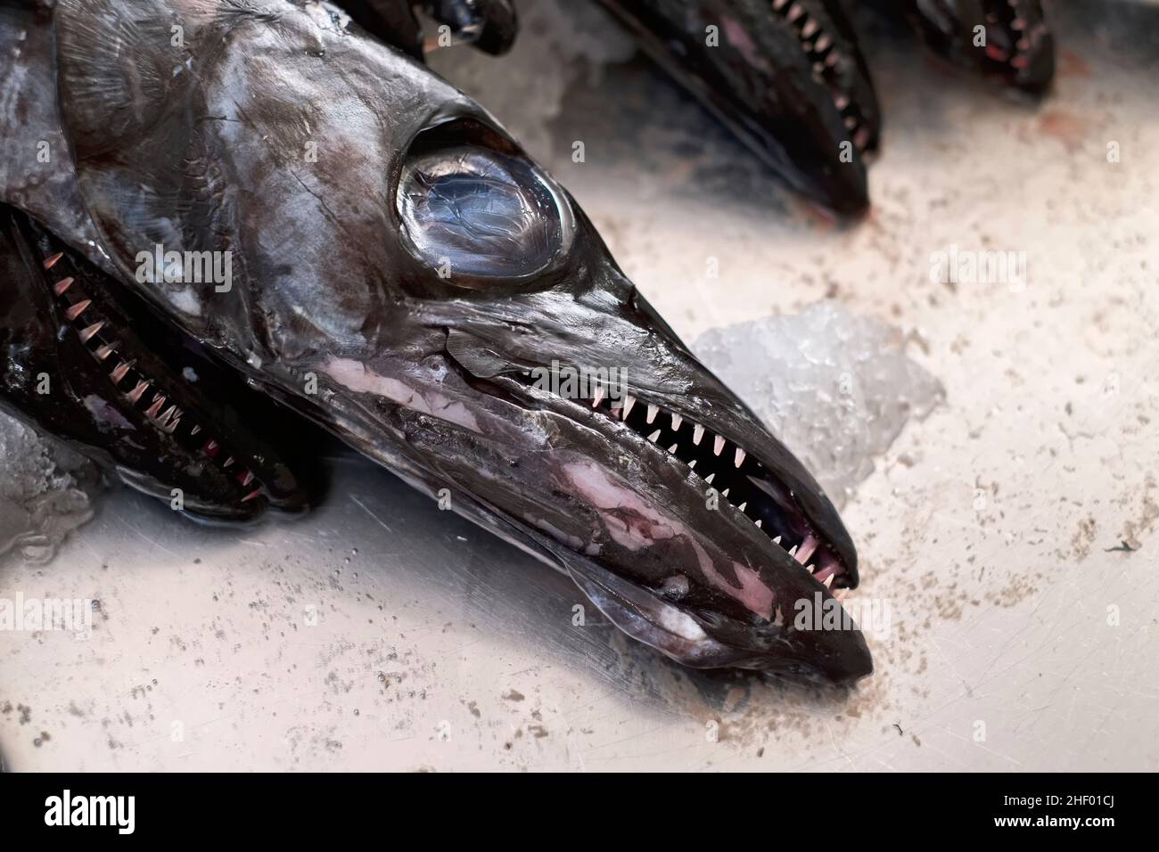 Espada preta, Black Scabbard fish  Madeira Stock Photo
