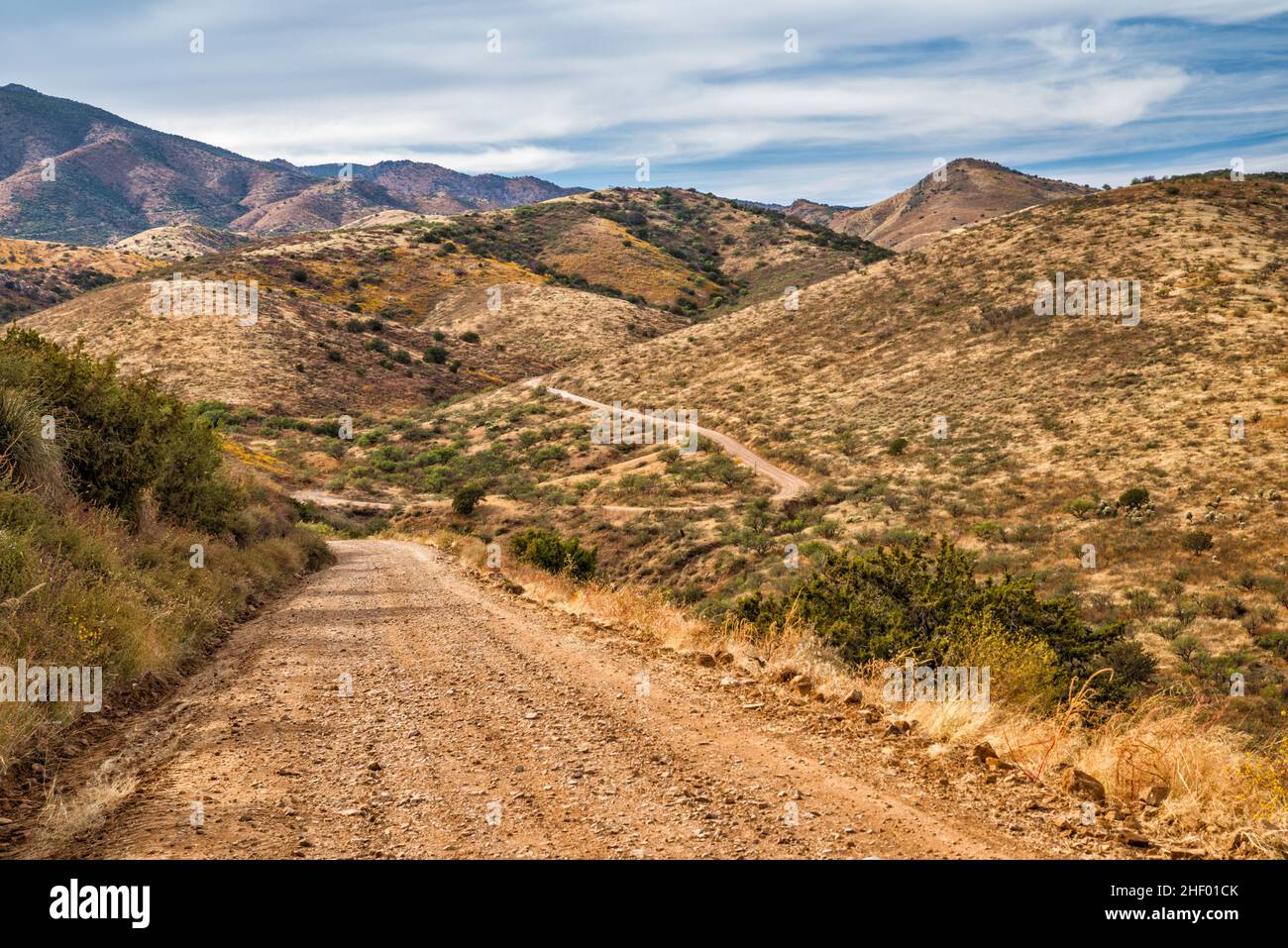 Santa Catalina Mountains, Mt Lemmon Highway, FS 38 road, near