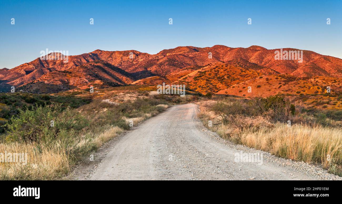 Santa Catalina Mountains, at sunrise, Mt Lemmon Highway, FS 38 road