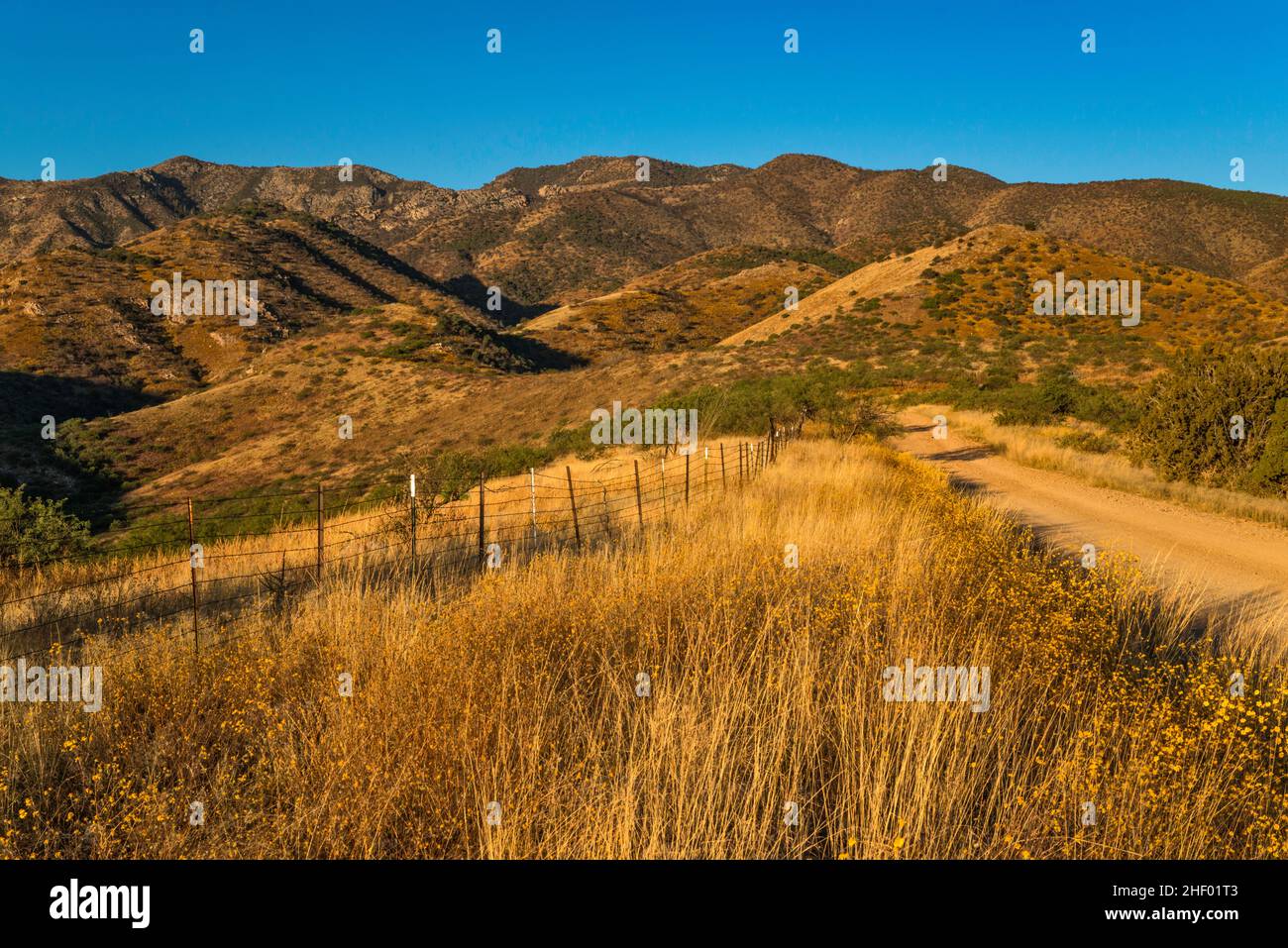 Santa Catalina Mountains, at sunrise, Mt Lemmon Highway, FS 38 road