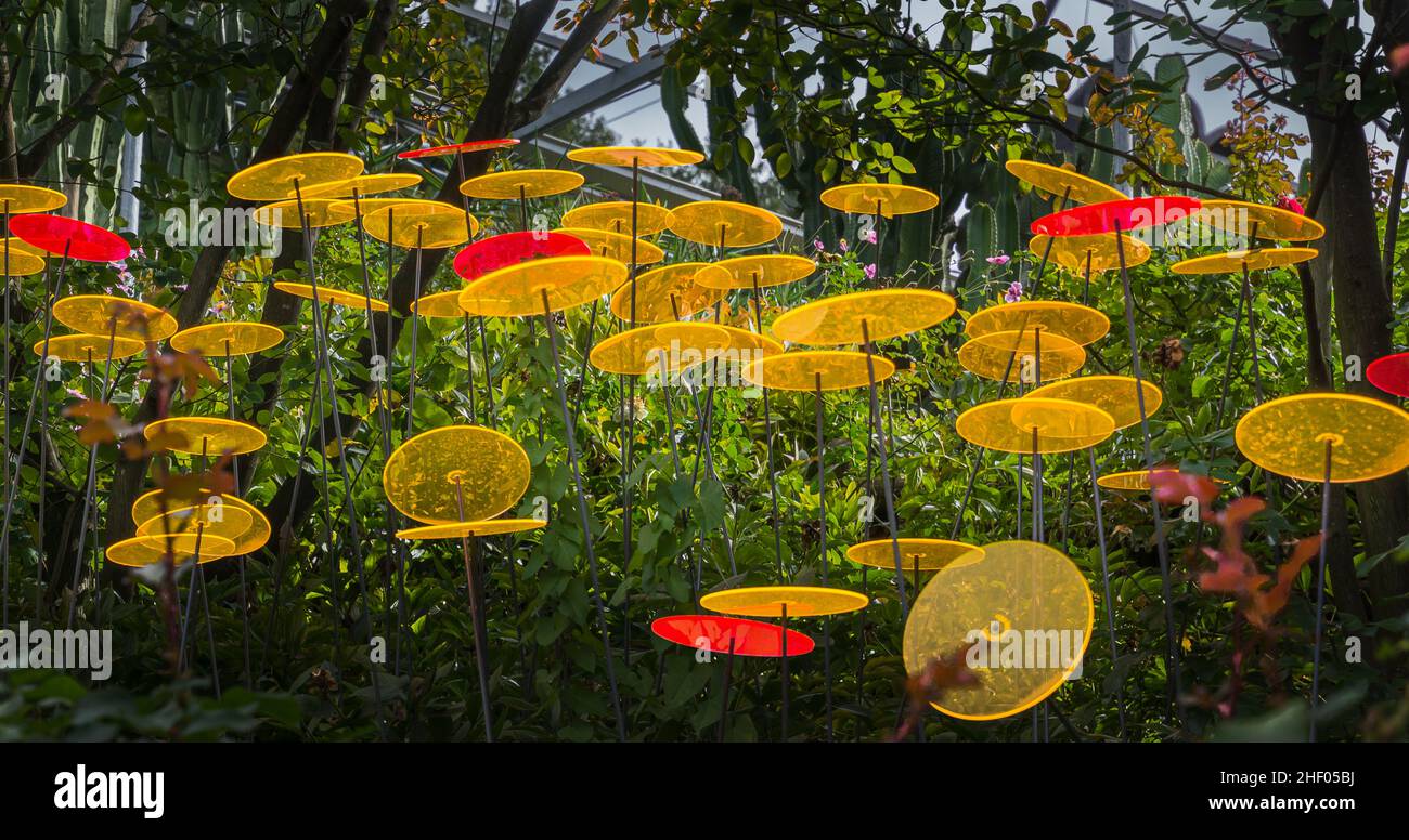 Gelbe und rote Acrylglasscheiben als Dekorationsobjekte in einem Garten Stock Photo