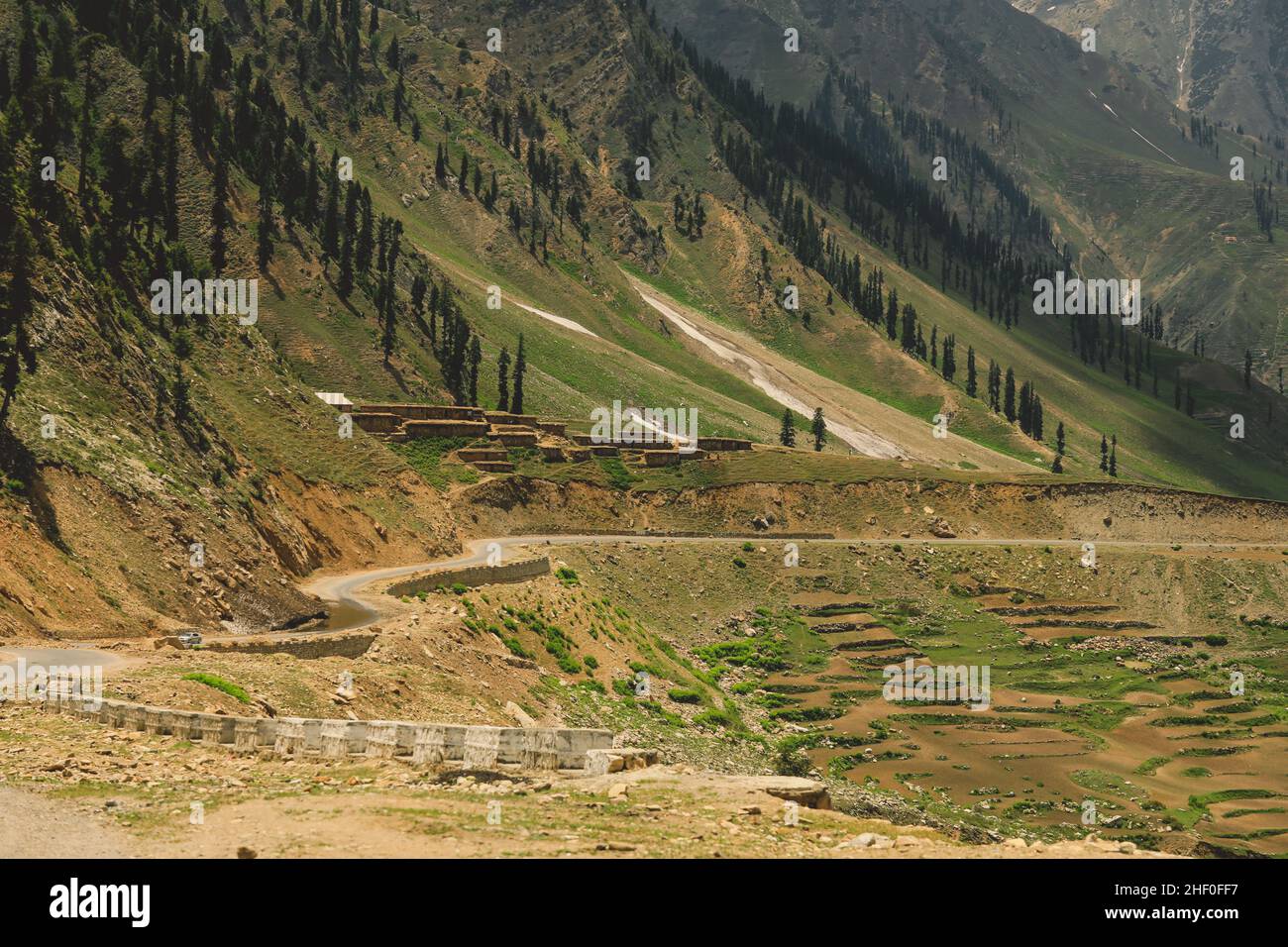 Traditional Houses on the Green Forest Rocks in Pakistani Mountains