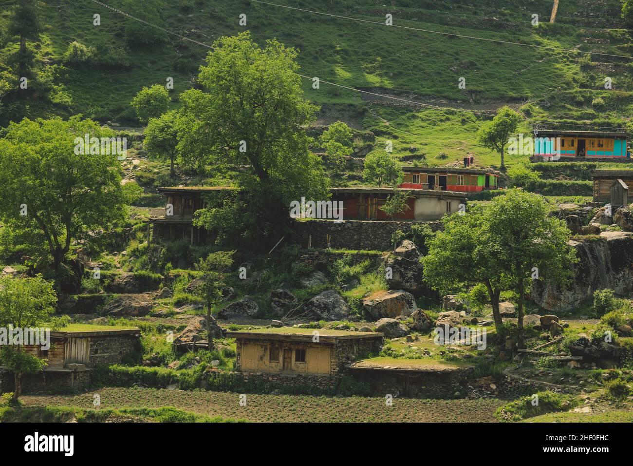 Traditional Houses on the Green Forest Rocks in Pakistani Mountains
