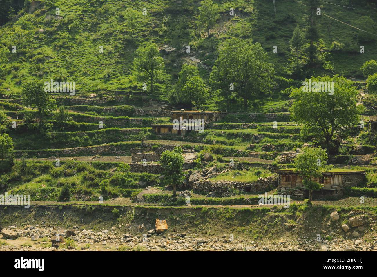 Traditional Houses on the Green Forest Rocks in Pakistani Mountains