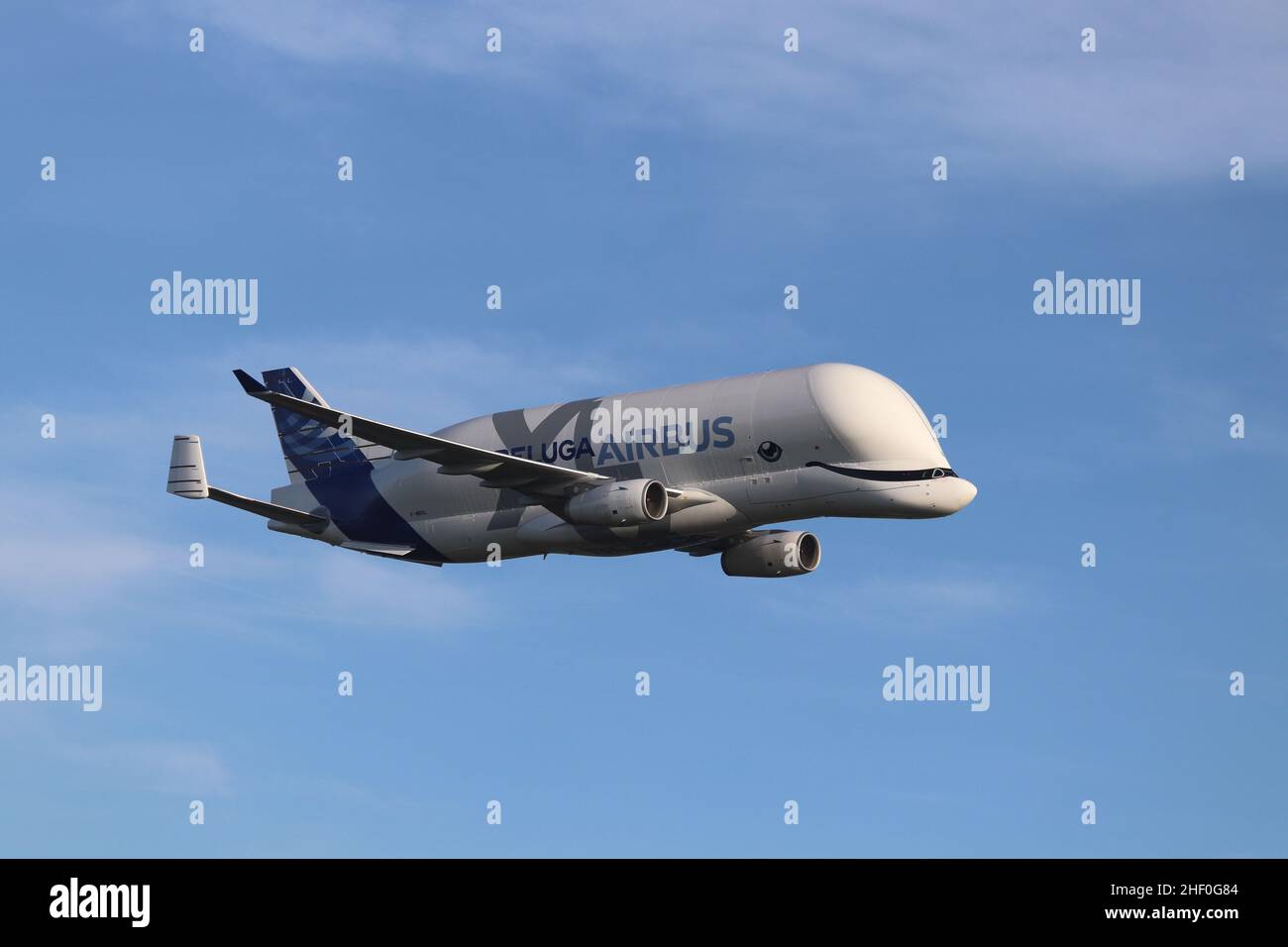 Airbus Beluga XL is a large transport aircraft based on the airbus A300-200 Freighter airline built by airbus of the movment of aircraft components Stock Photo