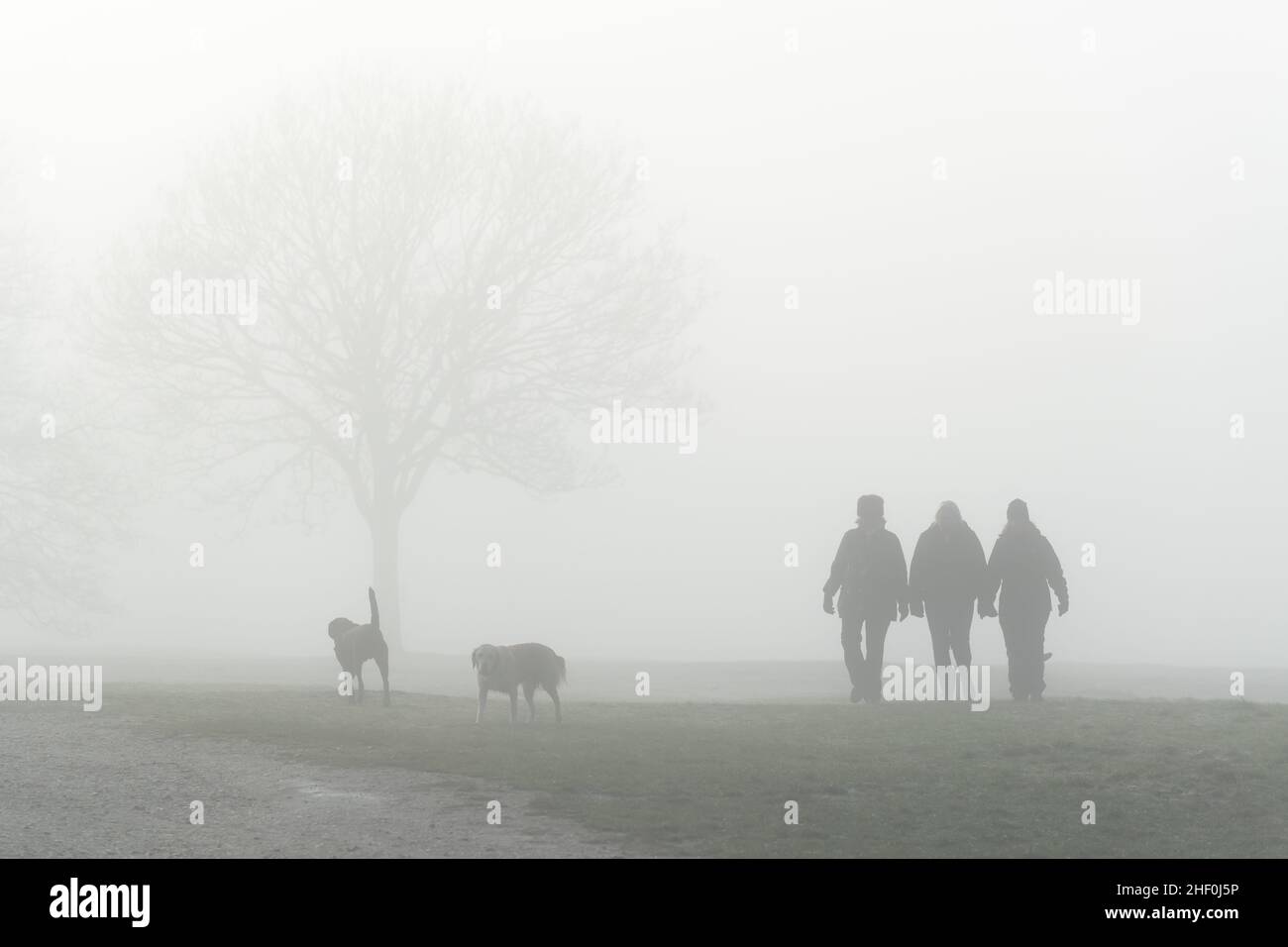 London, UK. 13th January, 2021: Dog walkers on a foggy morning at Wimbledon Common, London, UK. Credit:Ashley Western/Alamy Live News Stock Photo