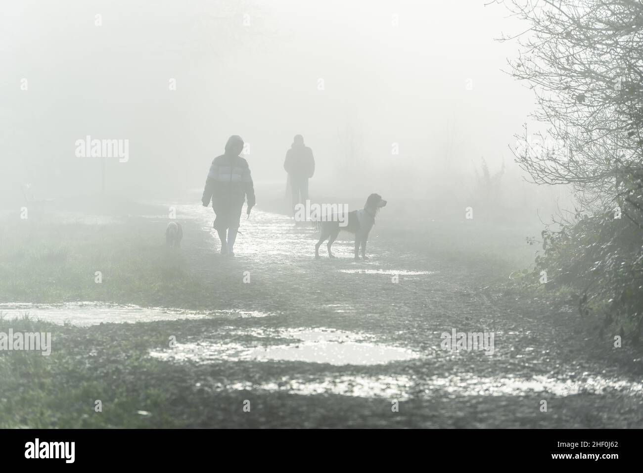 London, UK. 13th January, 2021: Dog walkers on a foggy morning at Wimbledon Common, London, UK. Credit:Ashley Western/Alamy Live News Stock Photo