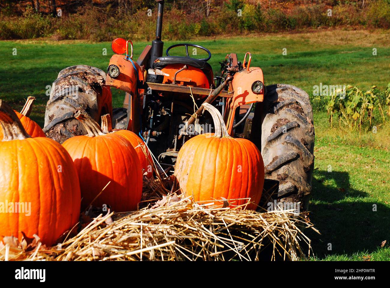 Autumn tractor ride Stock Photo - Alamy