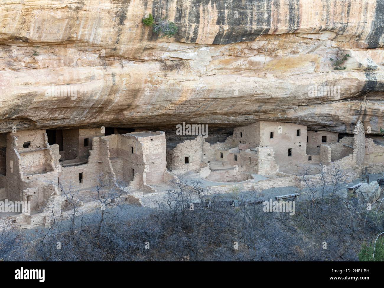 Cliff dwelling ruins at Spruce Tree House in Mesa Verde National Park ...
