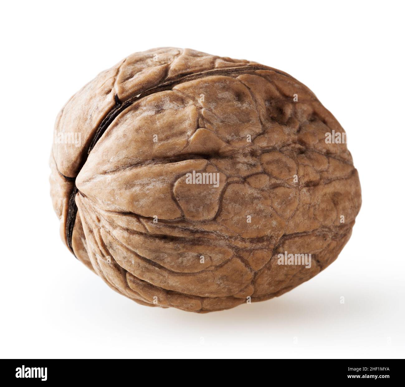 Wulnut isolated on white background with clipping path Stock Photo