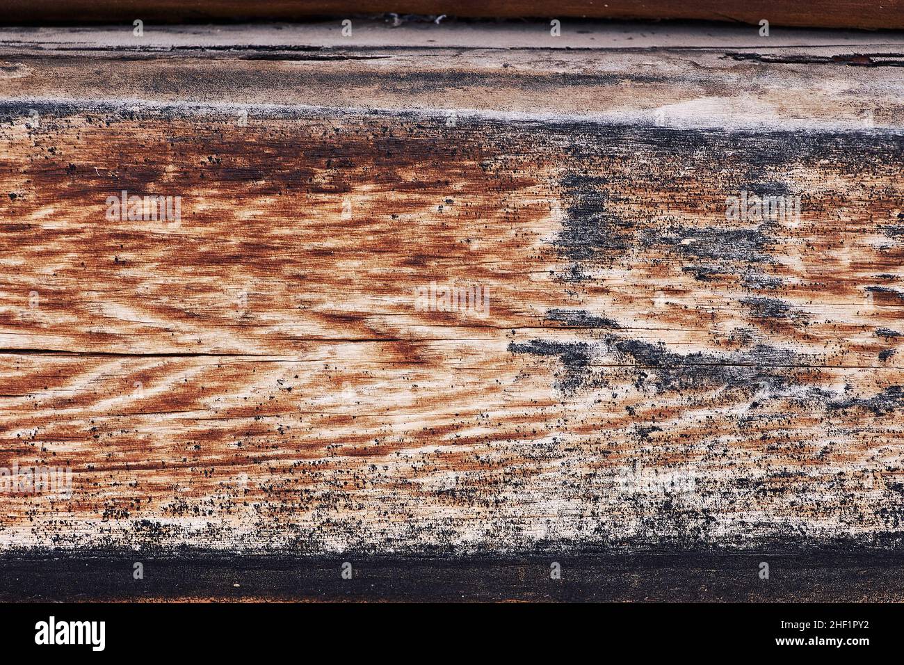 Part of a wooden board close-up with a well-read texture. Stock Photo