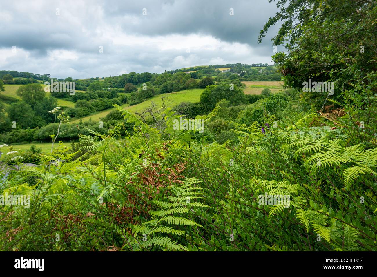 South Hams Hills, Devon Stock Photo Alamy