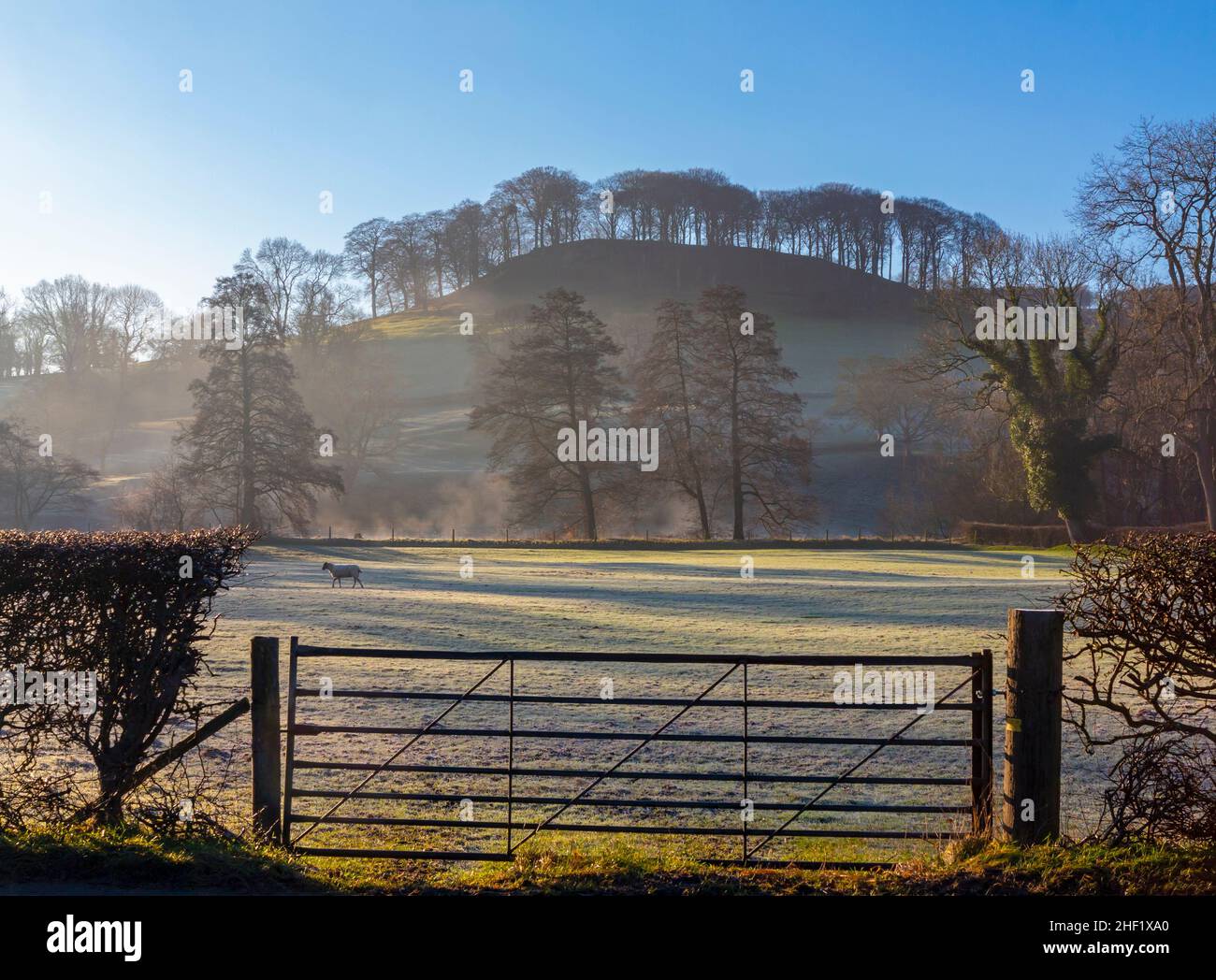 Frost covered landscape with gate and trees at Rowsley in the Derbyshire Peak District England UK with Peak Tor or Pillow Hill in the distance. Stock Photo
