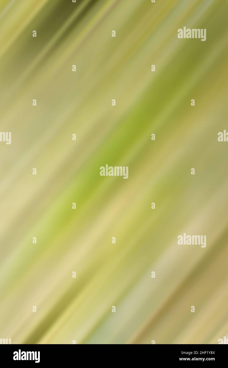 Abstract colorful blurry background with diagonal stripes. Stock Photo