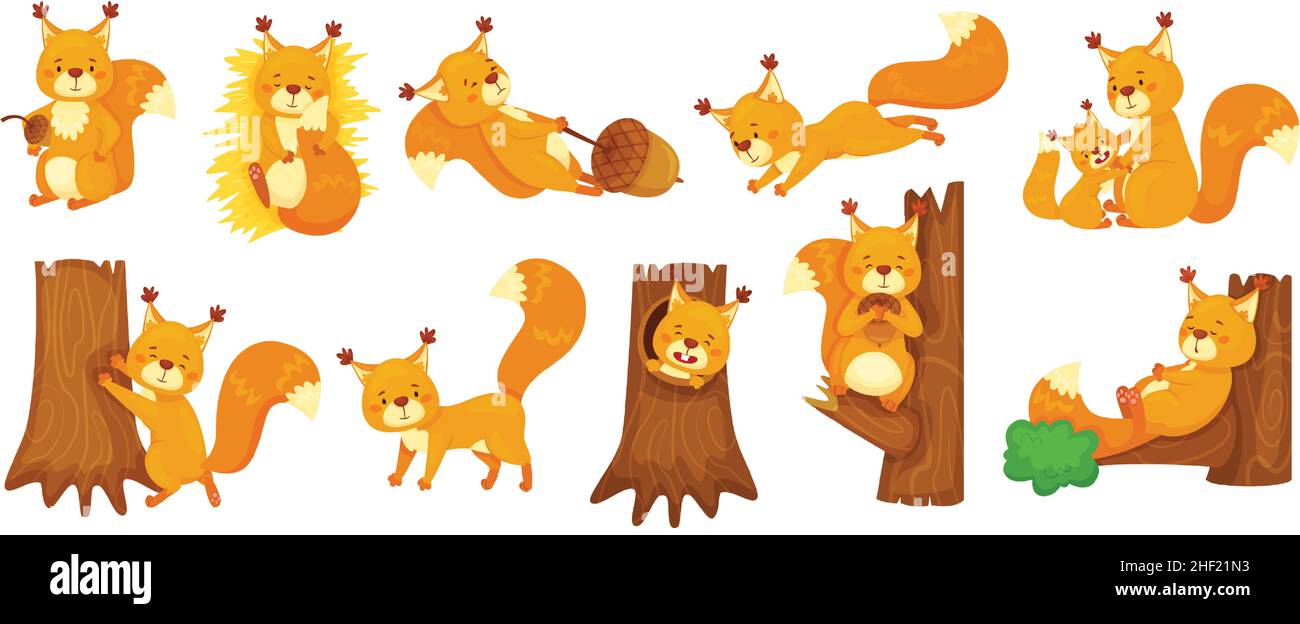 Cartoon cute squirrels sleeping, jumping, sitting on branch. Happy