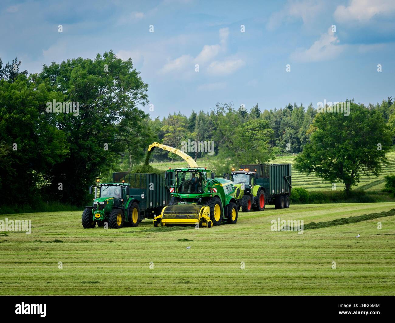 2 two tractors haymaking, working in farm field driving with John Deere harvester loading filling trailers (cut grass silage) - Yorkshire, England UK. Stock Photo