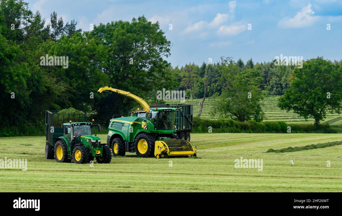 Tractor haymaking, busy working in farm field driving with John Deere  harvester, loading filling trailers (cut grass silage) - Yorkshire England UK. Stock Photo
